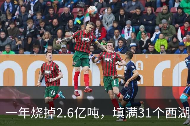一年烧掉2.6亿吨，填满31个西湖！中国的垃圾，不够烧了？